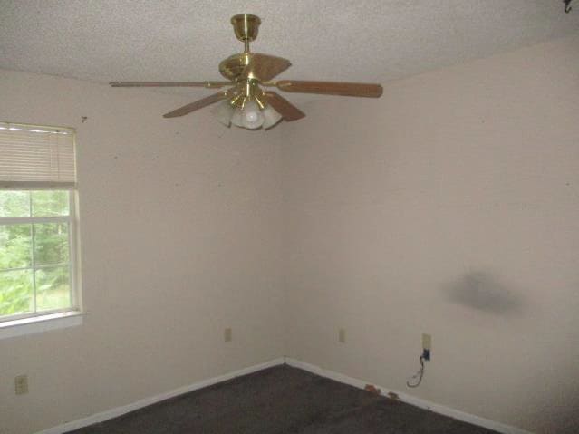 10625 Laddie Dr photo