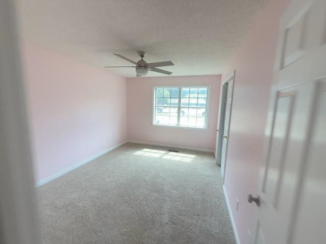 216 Doyle Dr photo