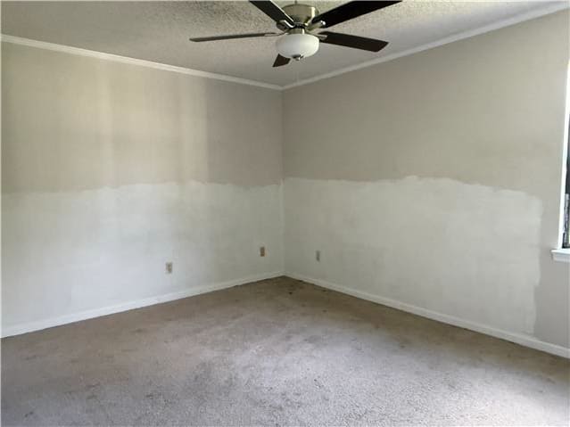 204 Begonia Dr photo