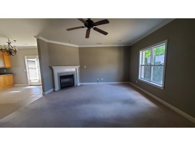 937 Tracey Ln photo