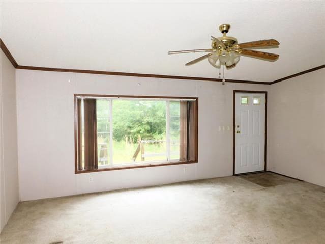 350 Tram Estate Ln photo