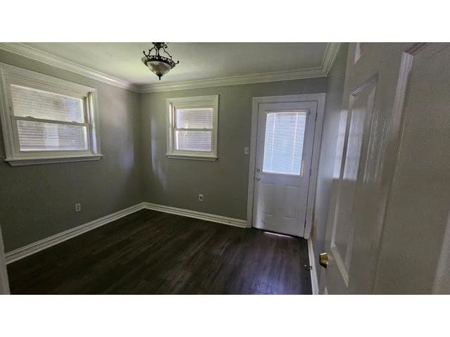 4116 Jumonville St photo