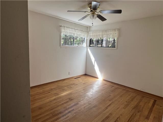 13706 Paelo Ln photo