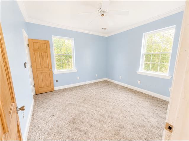 501 Felicity St photo