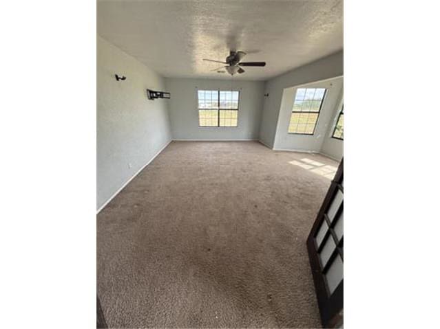 1611 Fm 2446 photo