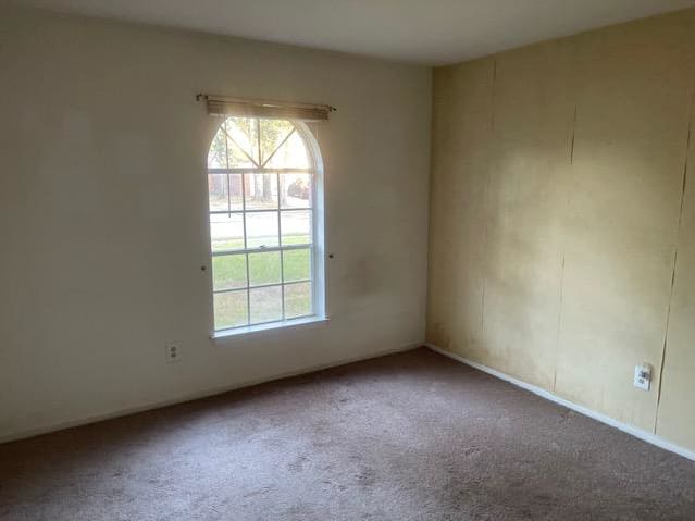 23021 Apple Arbor Dr photo