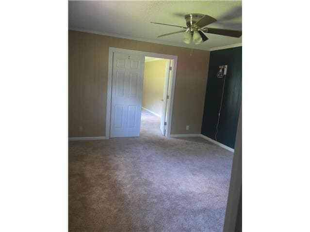 162 Carlton Ave photo