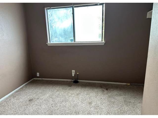 10059 Amber Field Dr photo