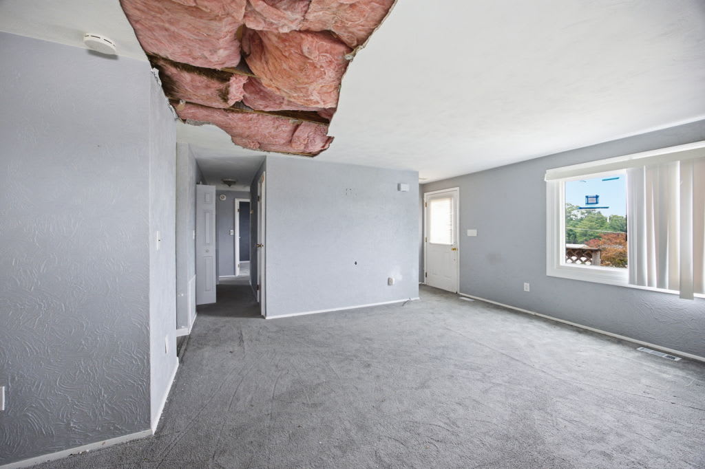235 Grant Ave photo
