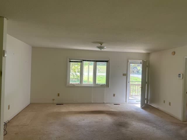 331 Pettus St photo