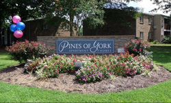 Apartments In Yorktown Va Pines Of York