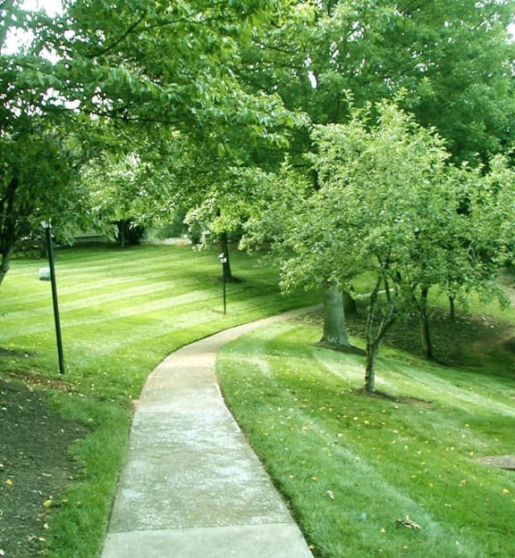 Mountain View Apartments In Knoxville Tn