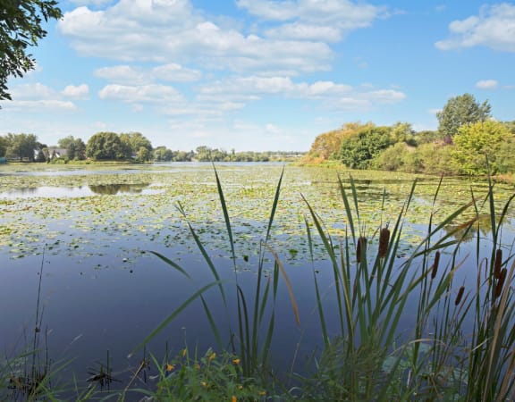 Beach South At The Lake Apartments In Robbinsdale Mn
