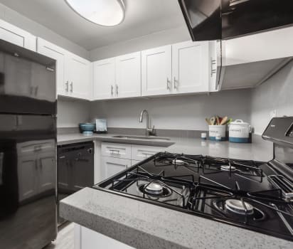 Apartments For Rent Radius Apartments Phoenix Az
