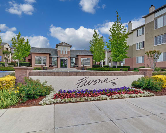 Pavona Apartments | Japantown, San Jose Apartments | Brochure