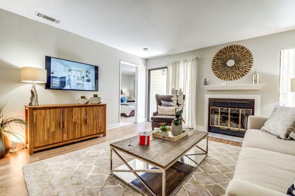 Living Room Fireplace