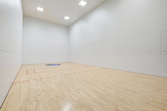 Raquet Ball Court