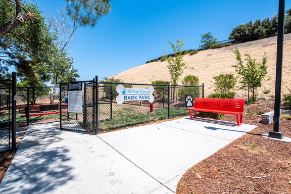 Dog Park