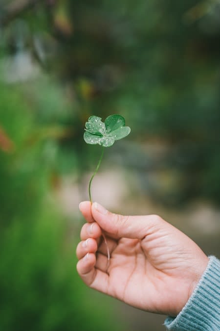 St Patricks at Rancho Franciscan Senior Apartments, Santa Barbara, CA, 93105