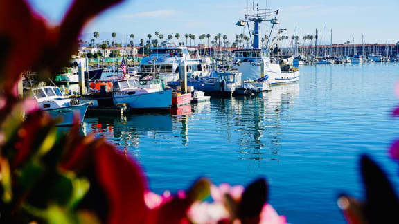 Boat in Harbor at Cypress Meadows Senior Apartments, Ventura