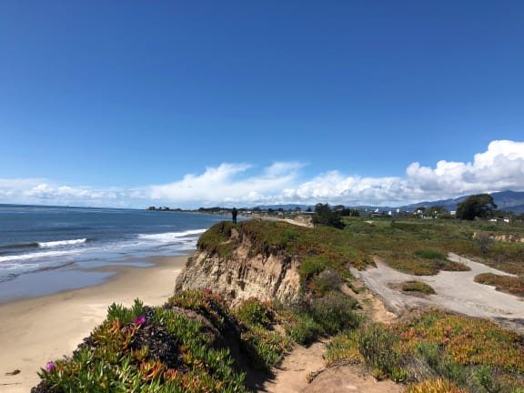 Goleta Beach Cliffs at Encina Meadows, Goleta, 93117