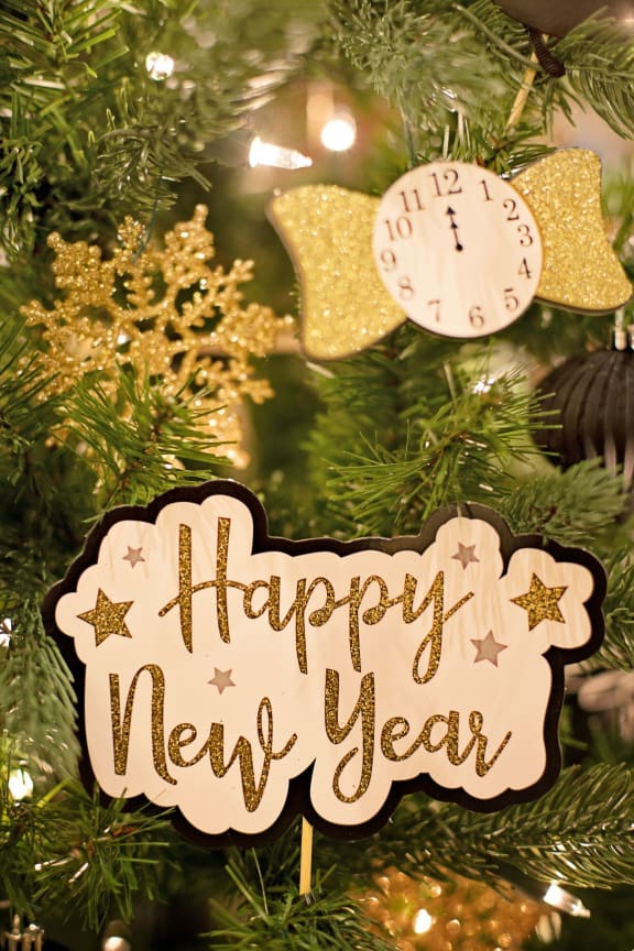 New Year at Knollwood Meadows Apartments, Santa Maria, 93455