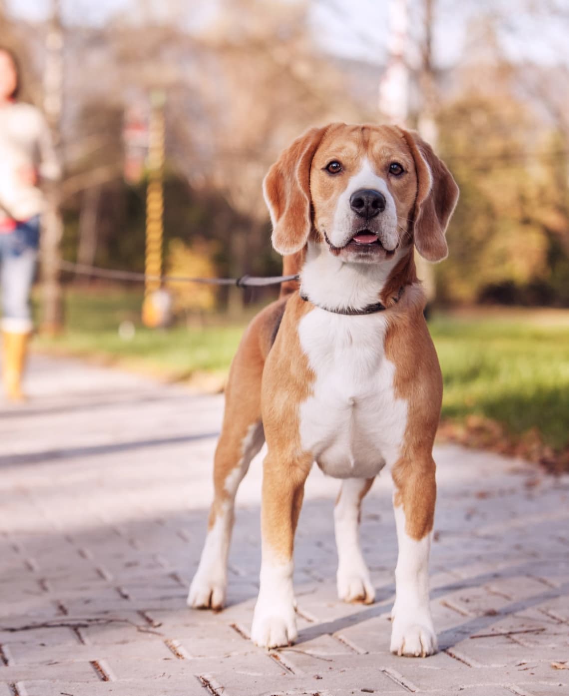 Trove Eastside | Modern Apartments | Austin, TX