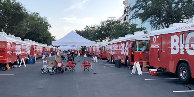 image of many Big Red Buses at a Tampa Bay Buccaneers blood drive event image of many Big Red Buses at a Tampa Bay Buccaneers blood drive event