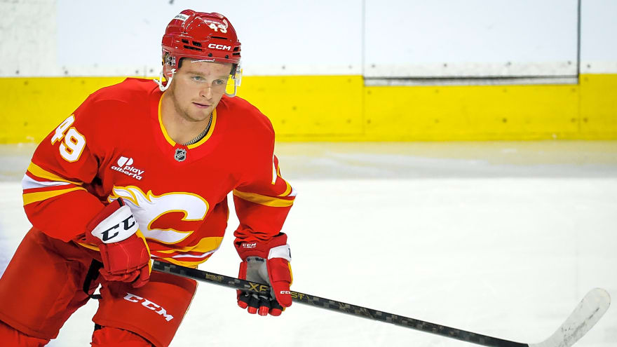 FN AHL Report Cards: Andrew Basha’s split AHL and WHL season was the right call