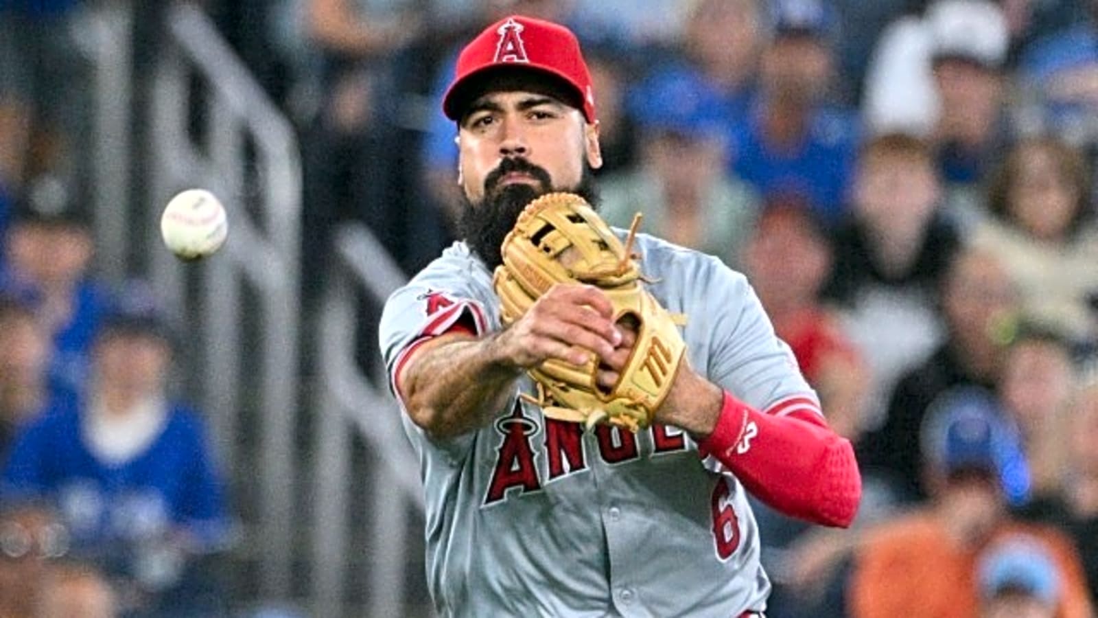 Los Angeles Angels Finally Realize Their Mistake With Anthony Rendon ...