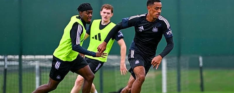 Newcastle team news ahead of crunch game against Crystal Palace