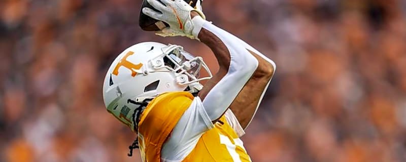 Why the 49ers are Showing Pre-Draft Interest in Chris Brazzell