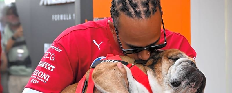 Lewis Hamilton Pays Emotional Tribute on Roscoe's Death Anniversary