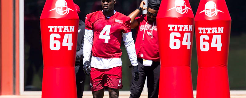 Cardinals’ Michael Wilson shares huge take on Jeremiyah Love’s receiving skills