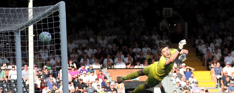 Welcome to the 100 club! Jordan Pickford joins Premier League goalkeeping elite after Everton draw