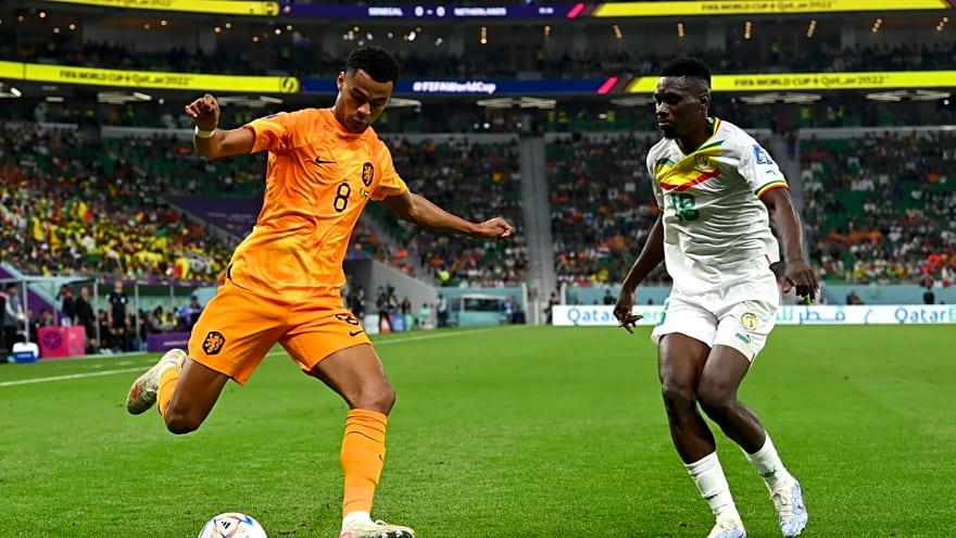 Fabrizio Romano claims Liverpool’s ‘favourite candidate’ to replace Gakpo wants Anfield move