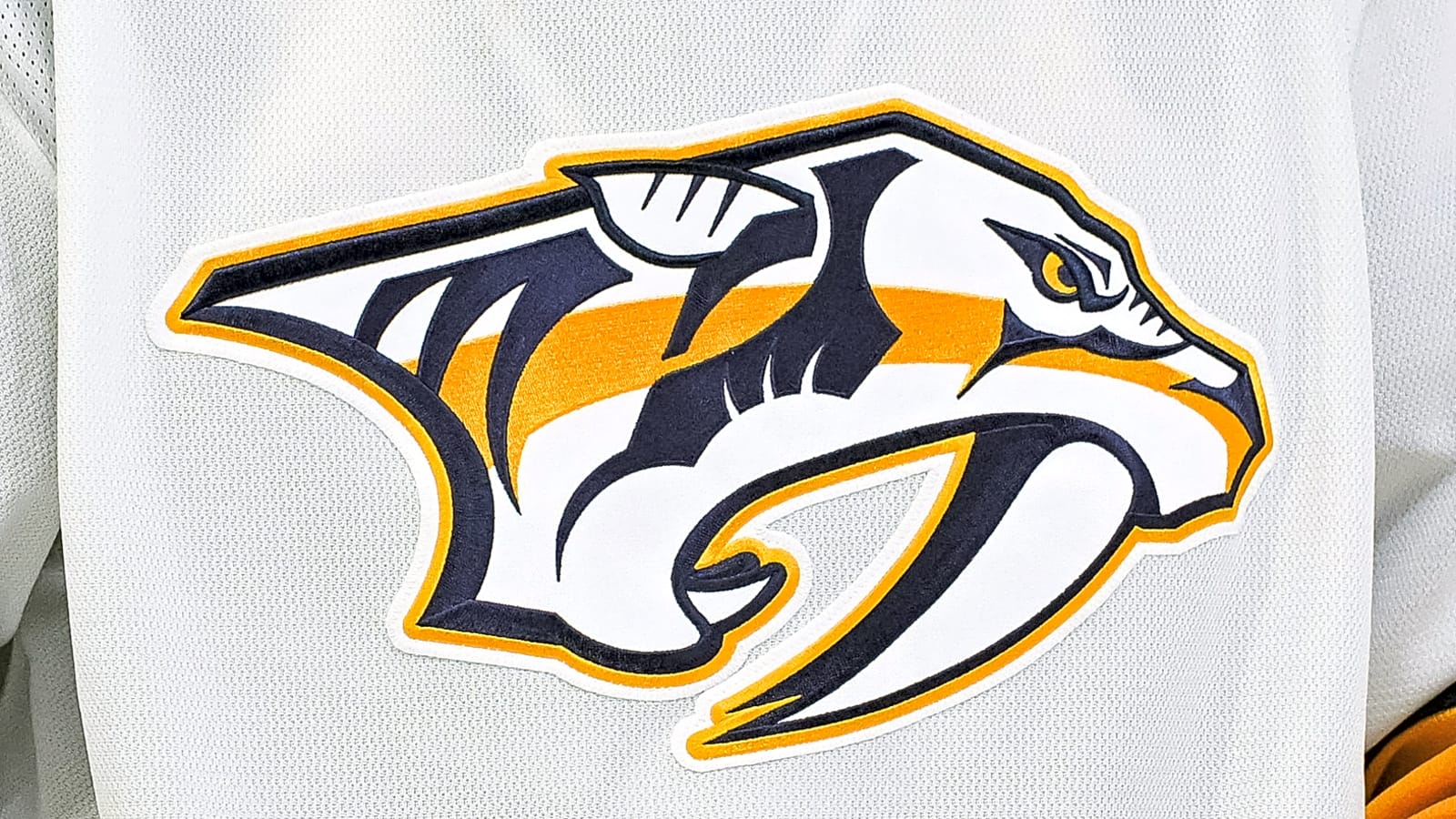 Predators Cation Sign Predators sign Viggo Gustafsson to three-year, entry-level contract ...