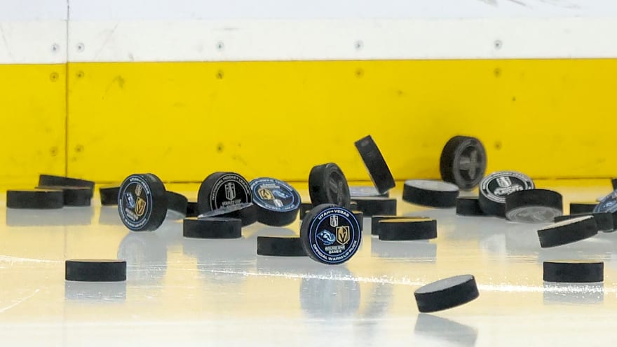 Hurricanes acquire Stiven Sardarian from Sabres