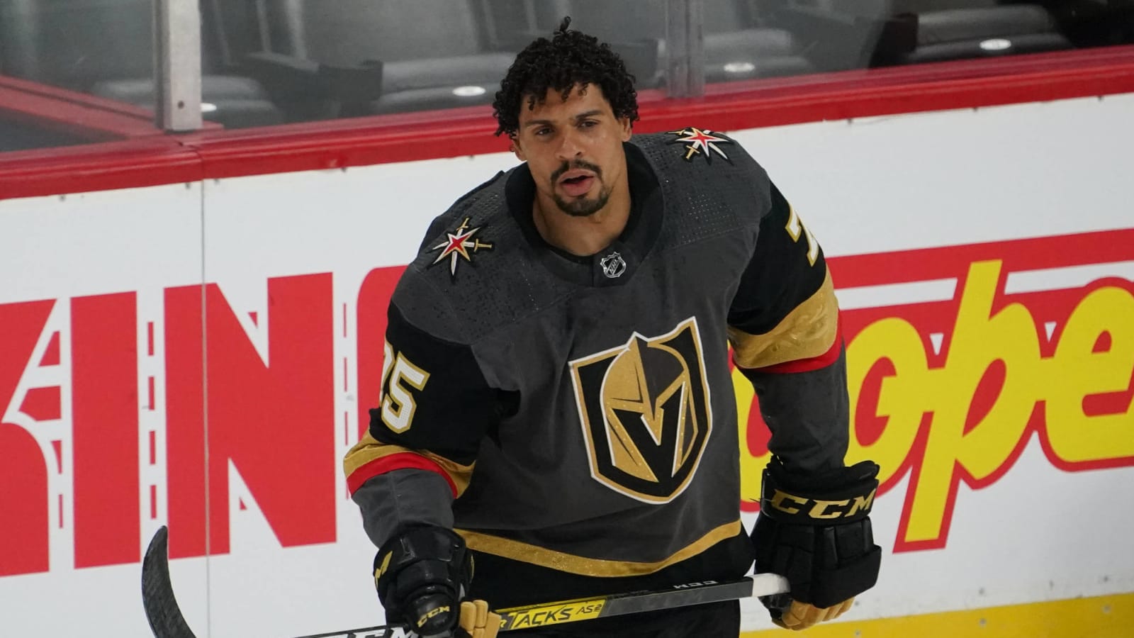 ryan reaves knights jersey