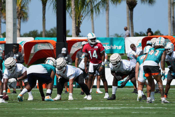 Ranking the backup QBs for the 2021 NFL season - NewsOpener Jacoby Brissett