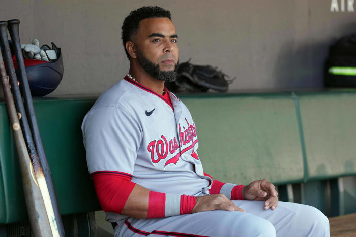 Nelson Cruz, DH, Nationals