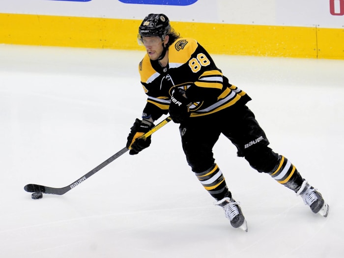 Boston Bruins: Contender