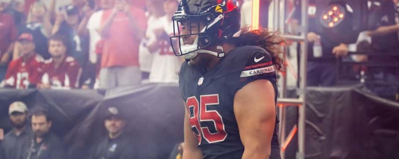  Raiders Signing Veteran DT