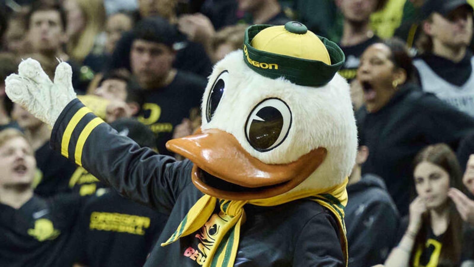 Watch: Oregon mascot loses head while taunting Sanders | Yardbarker