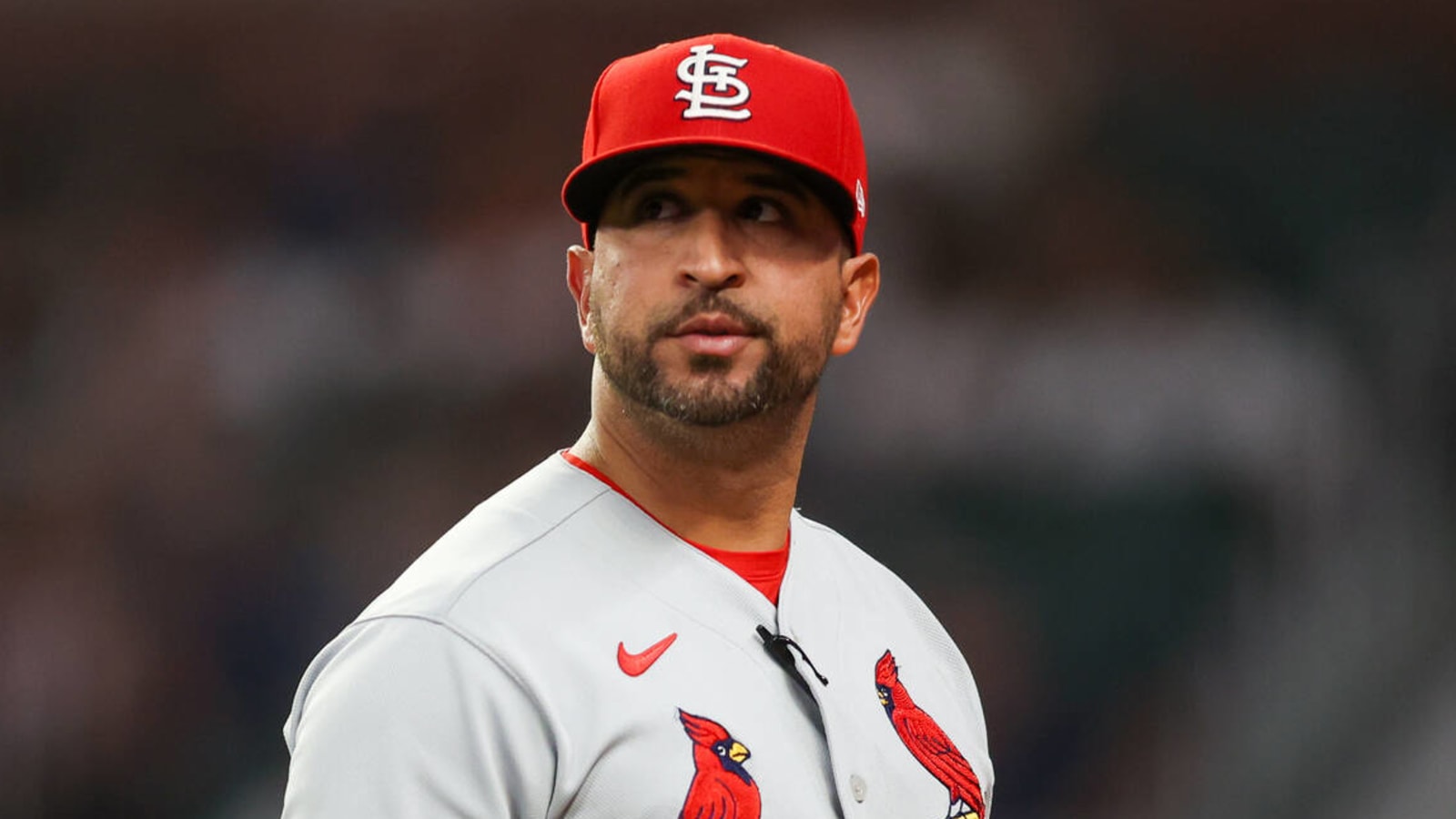 Cardinals reveal Oliver Marmol's job status for 2024 | Yardbarker