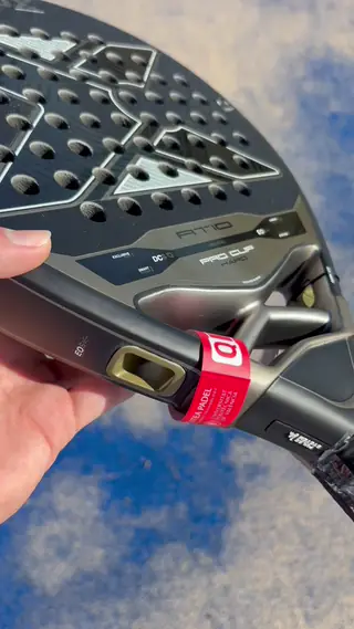 Sistema DCS y Pulse System