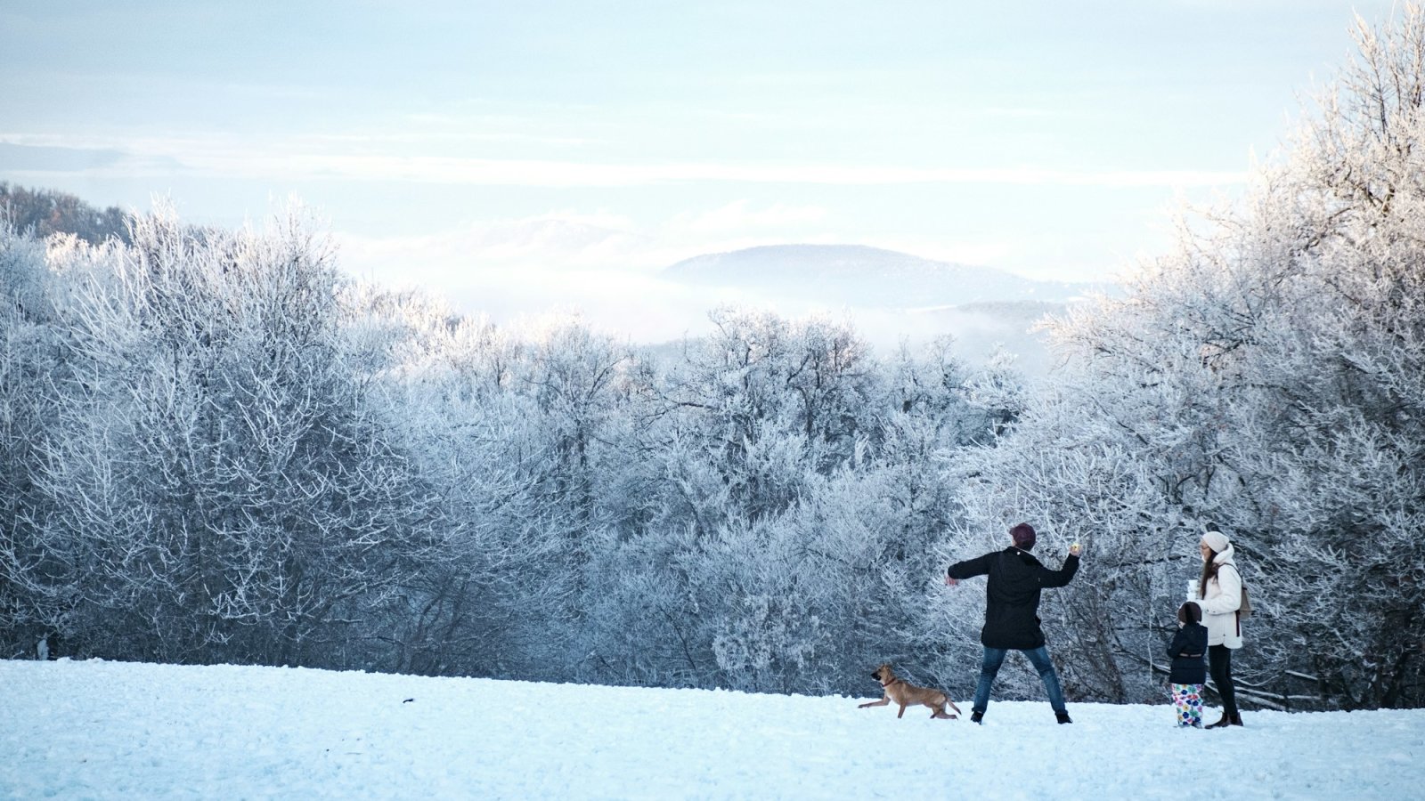 Familia jugando en la nieve junto a un bosque nevado