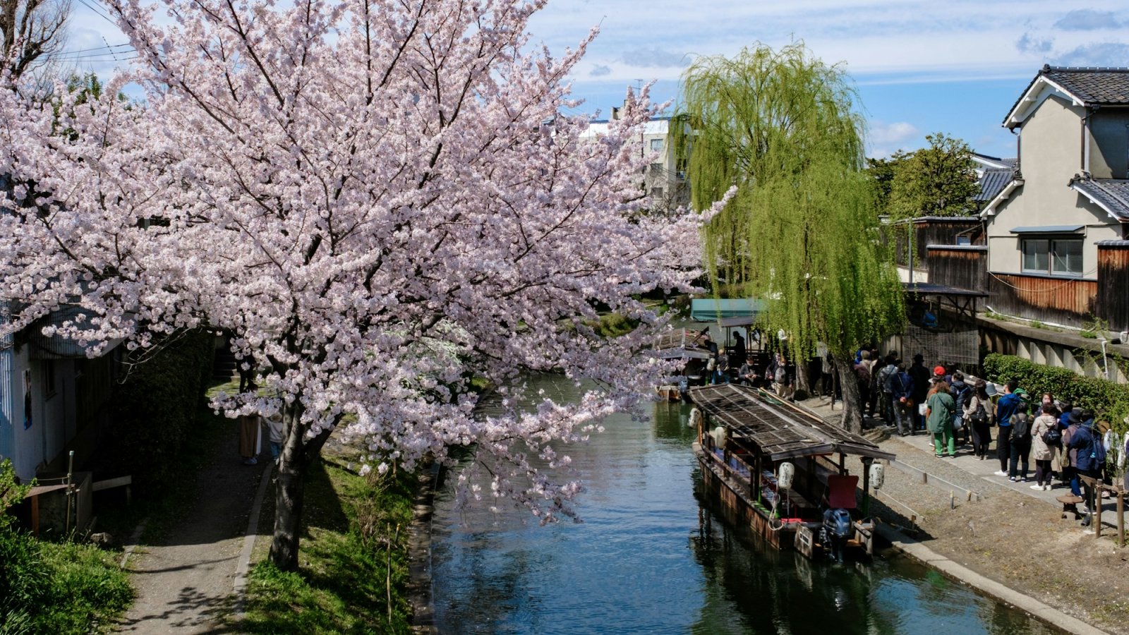 Canal con cerezos en flor en Kioto, Japón