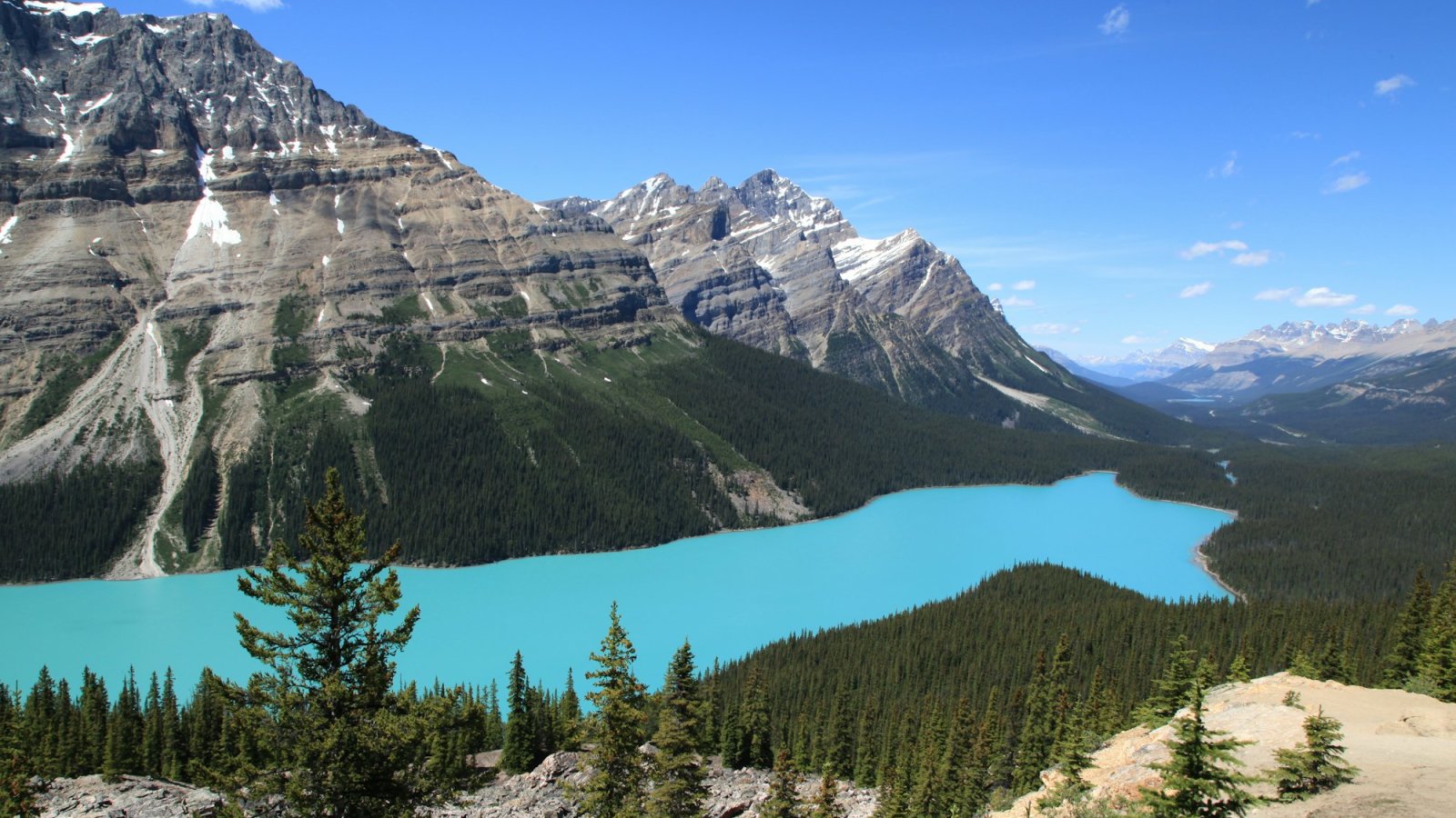 Lago Peyto de color turquesa entre bosques y montañas en la Icefields Parkway, Parque Nacional Banff, Canadá