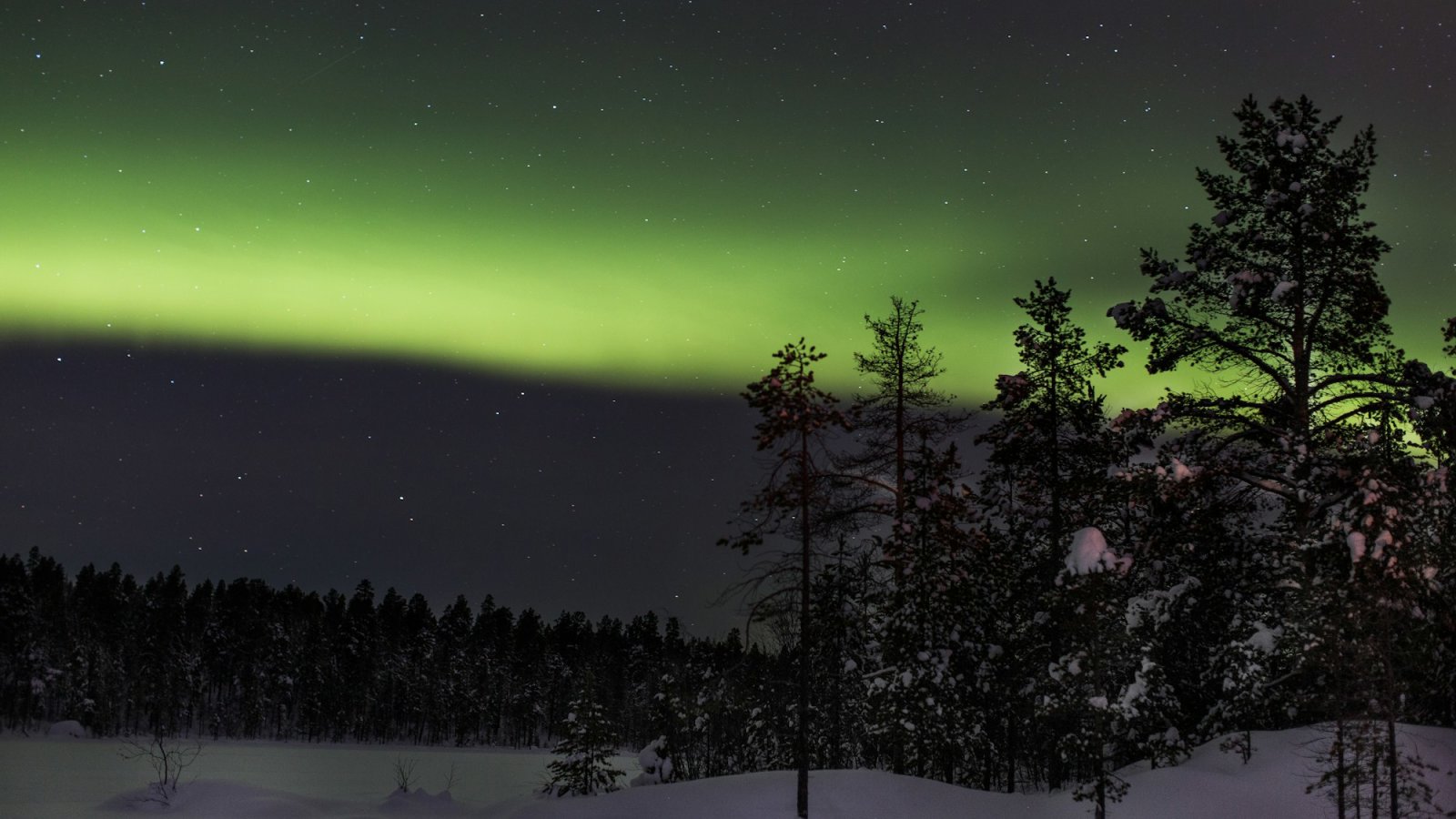 Aurora boreal verde sobre un bosque nevado de la Laponia finlandesa
